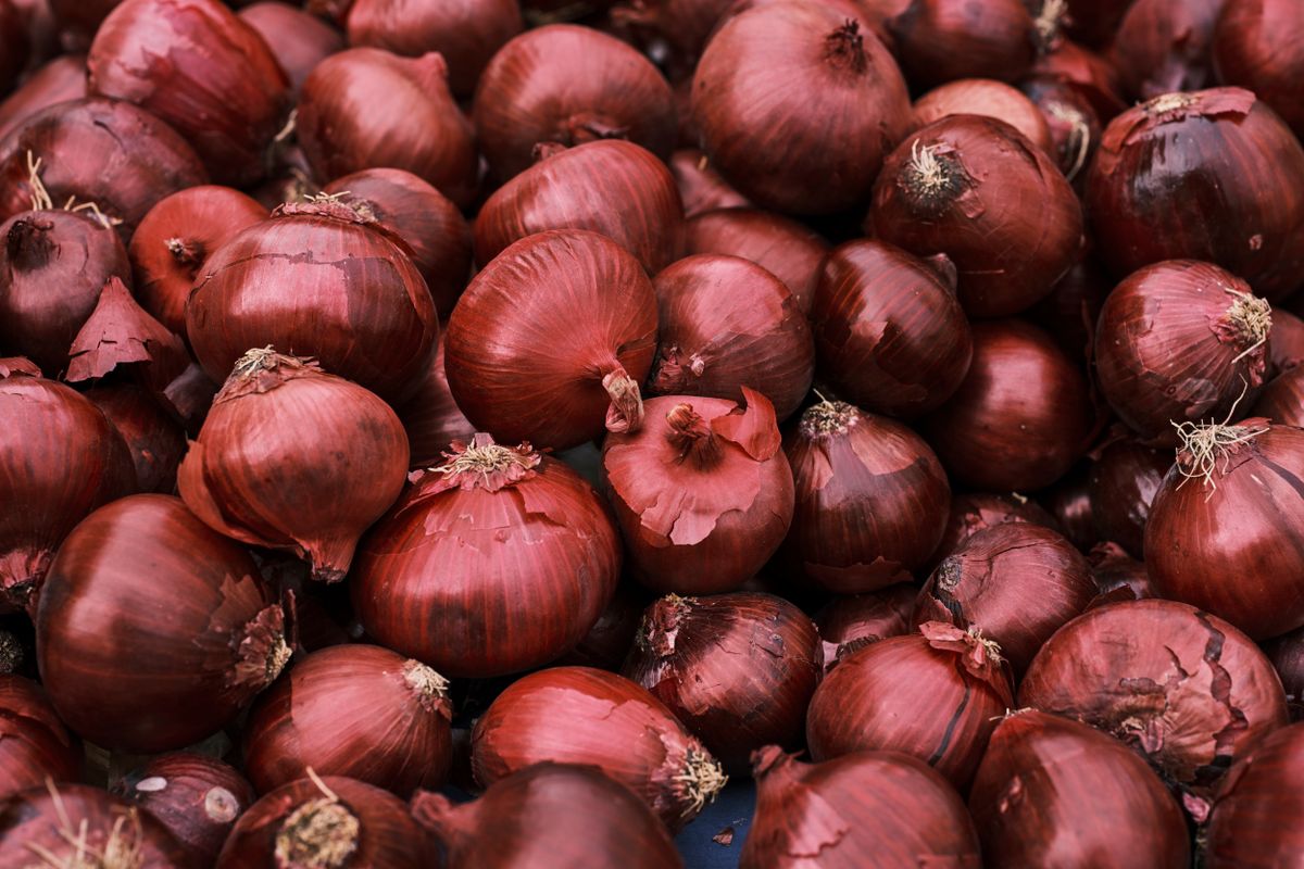 Red onions, a staple traded commodity
